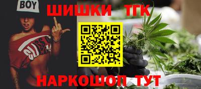 крисы Донской