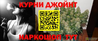 крисы Донской